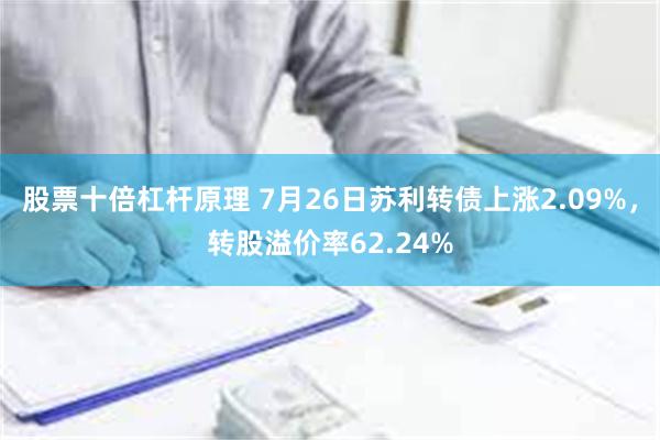 股票十倍杠杆原理 7月26日苏利转债上涨2.09%，转股溢价率62.24%