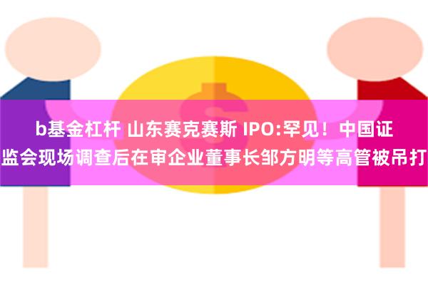 b基金杠杆 山东赛克赛斯 IPO:罕见！中国证监会现场调