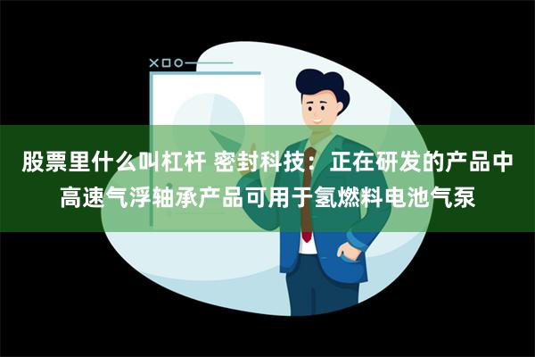 股票里什么叫杠杆 密封科技：正在研发的产品中高速气浮轴承