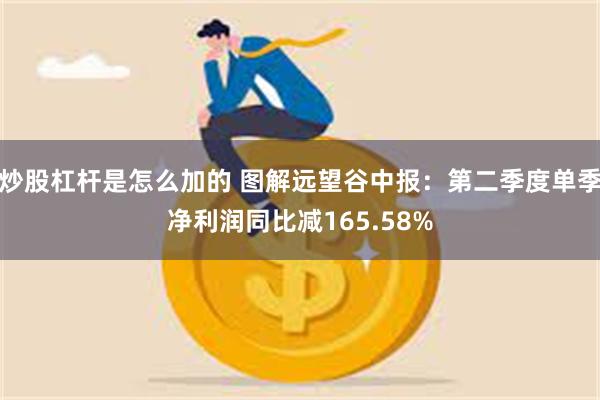 炒股杠杆是怎么加的 图解远望谷中报：第二季度单季净利润同比减