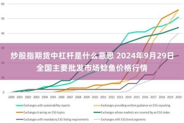 炒股指期货中杠杆是什么意思 2024年9月29日全国主要批发