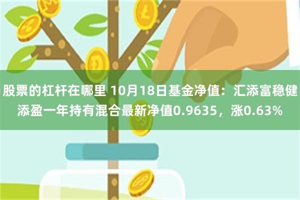 股票的杠杆在哪里 10月18日基金净值：汇添富稳健添盈一年持有混合最新净值0.9635，涨0.63%