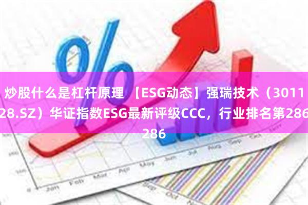 炒股什么是杠杆原理 【ESG动态】强瑞技术（301128