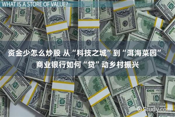 资金少怎么炒股 从“科技之城”到“洱海菜园”  商业银行如何“贷”动乡村振兴