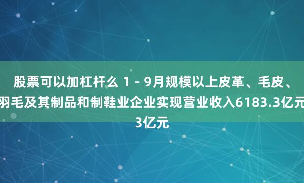 股票可以加杠杆么 1－9月规模以上皮革、毛皮、羽毛及其制品和制鞋业企业实现营业收入6183.3亿元