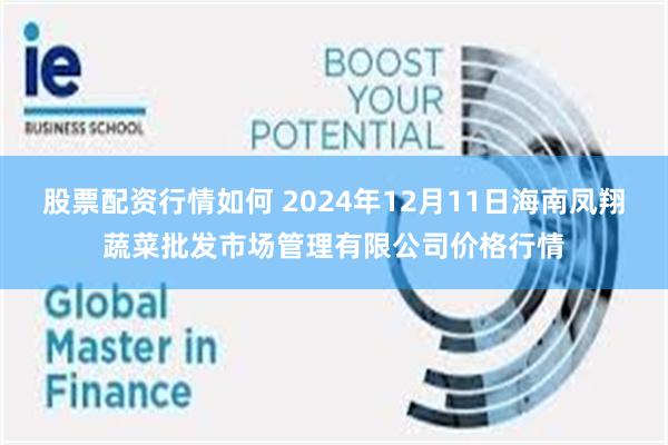 股票配资行情如何 2024年12月11日海南凤翔蔬菜批发市场管理有限公司价格行情