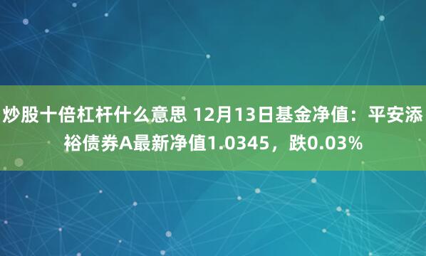 炒股十倍杠杆什么意思 12月13日基金净值：平安添裕债券A最新净值1.0345，跌0.03%