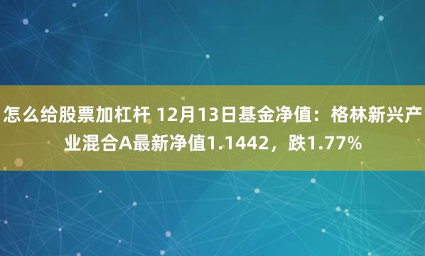 怎么给股票加杠杆 12月13日基金净值：格林新兴产业混合A最新净值1.1442，跌1.77%