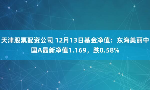 天津股票配资公司 12月13日基金净值：东海美丽中国A最新净值1.169，跌0.58%