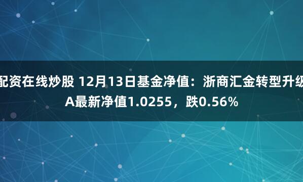 配资在线炒股 12月13日基金净值：浙商汇金转型升级A最新净值1.0255，跌0.56%