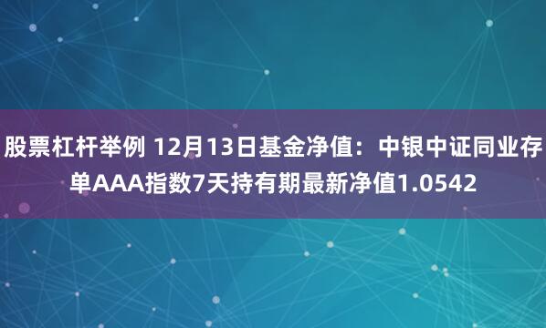 股票杠杆举例 12月13日基金净值：中银中证同业存单AAA指数7天持有期最新净值1.0542