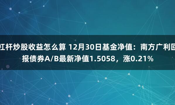 杠杆炒股收益怎么算 12月30日基金净值：南方广利回报债券A/B最新净值1.5058，涨0.21%