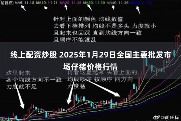 线上配资炒股 2025年1月29日全国主要批发市场仔猪价格行情