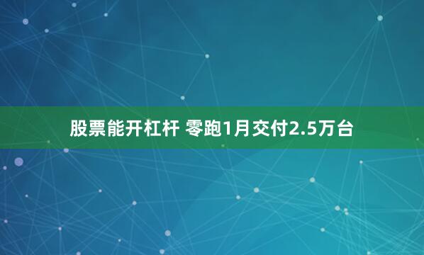 股票能开杠杆 零跑1月交付2.5万台