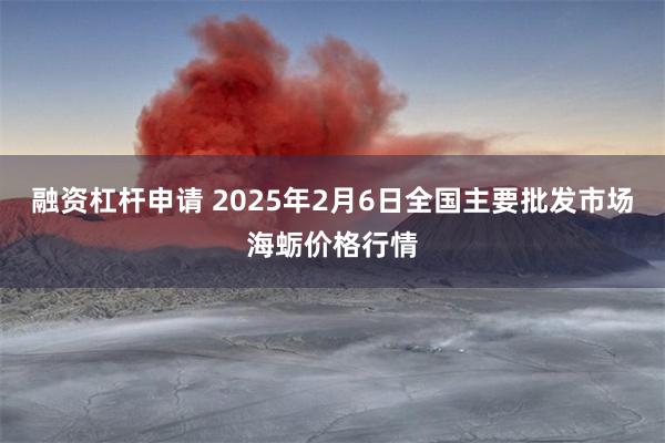 融资杠杆申请 2025年2月6日全国主要批发市场海蛎价格行情